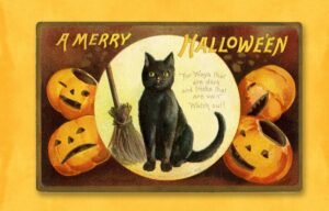 Halloween-Names-Cats