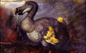 Why-dodo-bird-extinct