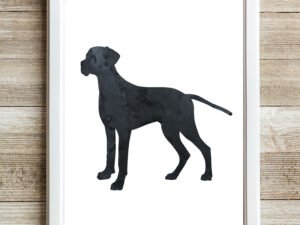 Black Brittany Dog Art Print