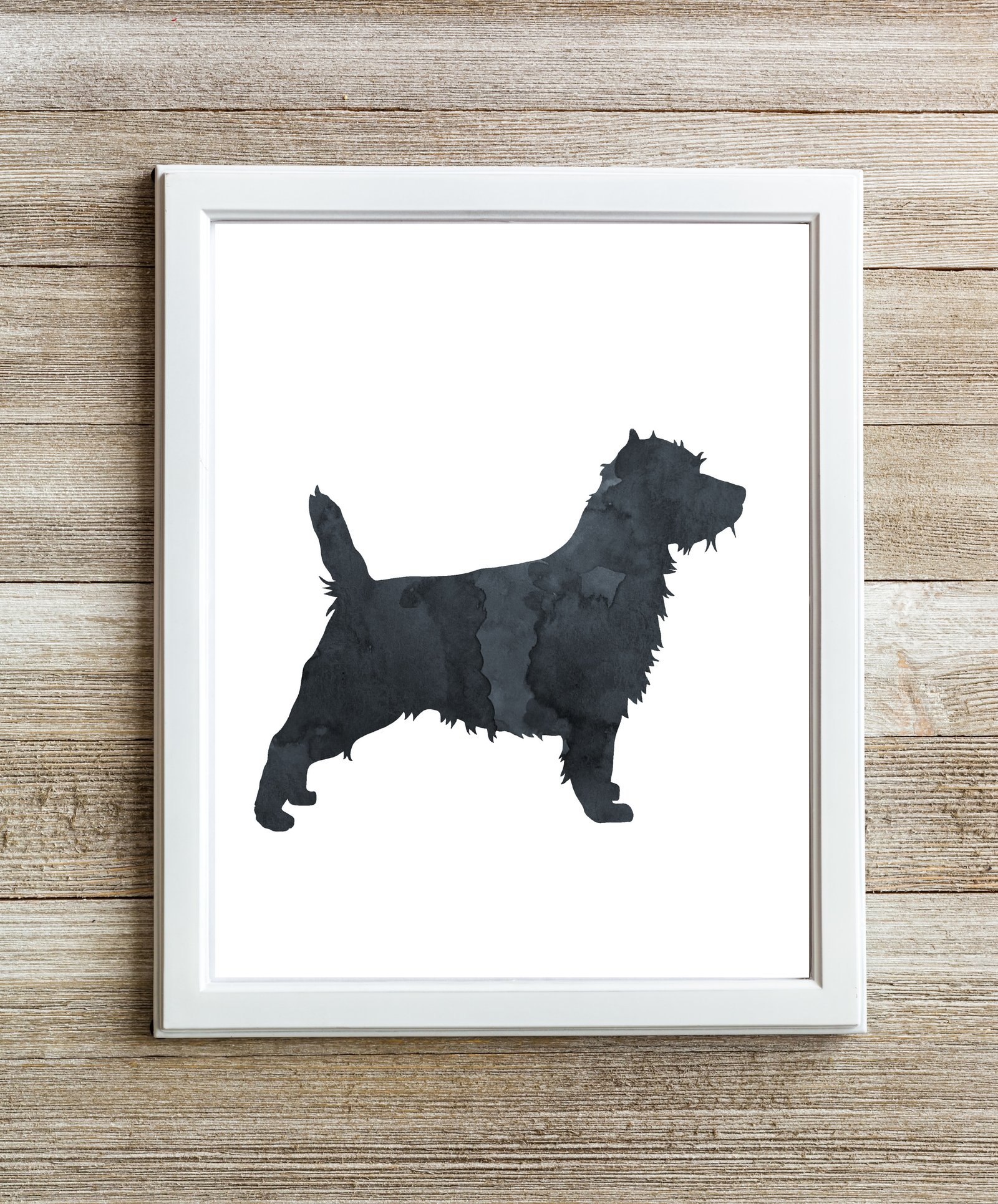 Black Cairn Terrier Art Print