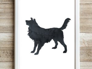 Black Collie Watercolor Wall Art Print