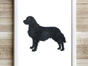 Black Golden Retriever Wall Art Print