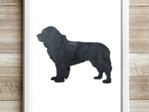 Black Newfoundland Dog Wall Art Print