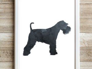 a black schnauzer wall art print