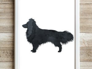 black shetland sheepdog aka sheltie wall art