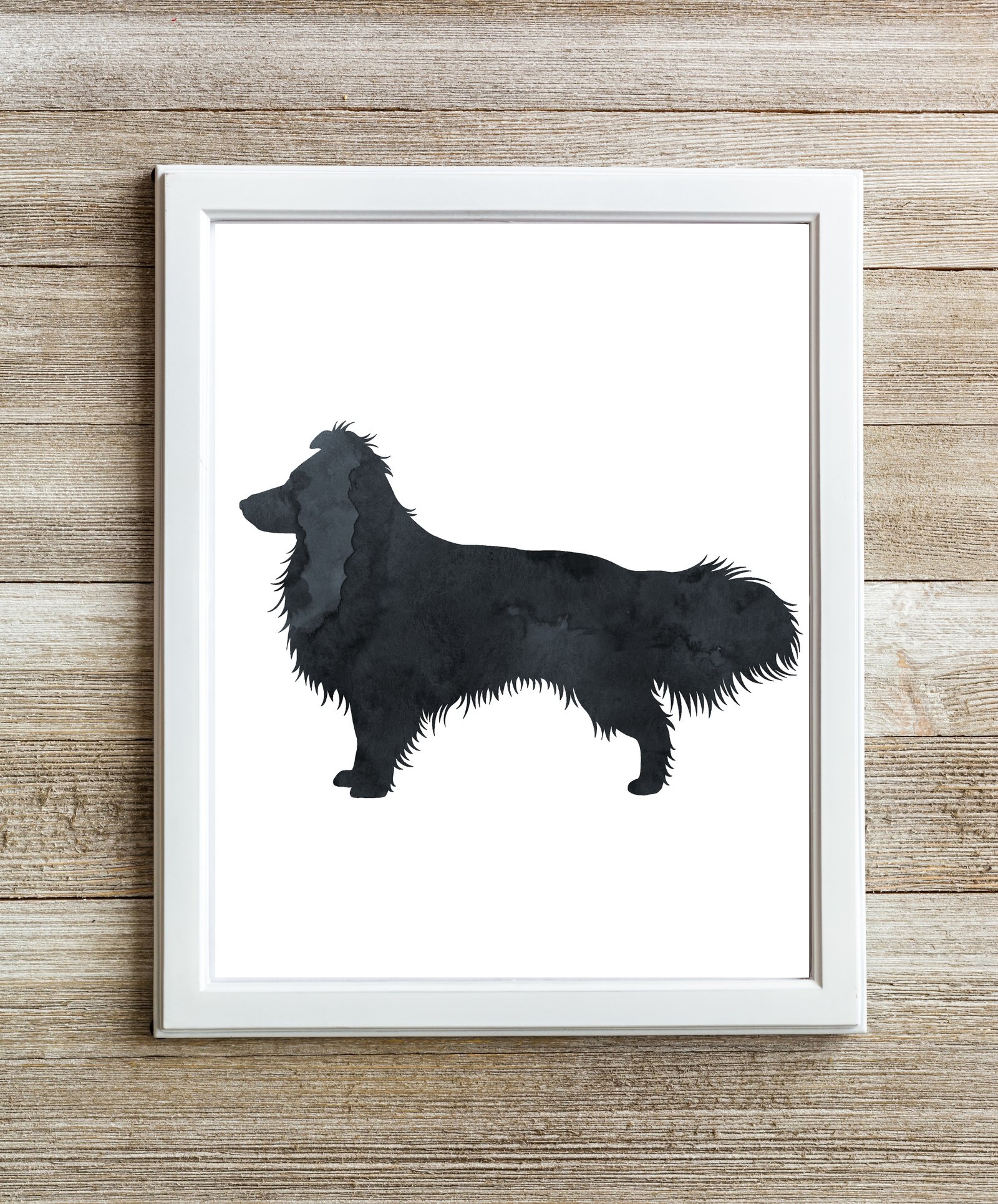 black shetland sheepdog aka sheltie wall art
