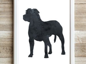 Black Staffordshire Terrier Wall Art Print Watercolor