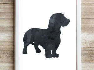 Black Wire Haired Dachshund Wal -Art Print