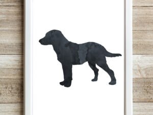 Black Chesapeake Bay Retriever Wall Art Print