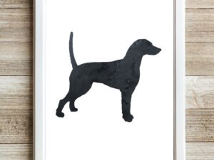 Dalmatian Wall Pictures Black Dog Room Decor