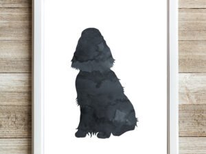 Black English Springer Spaniel Art Print