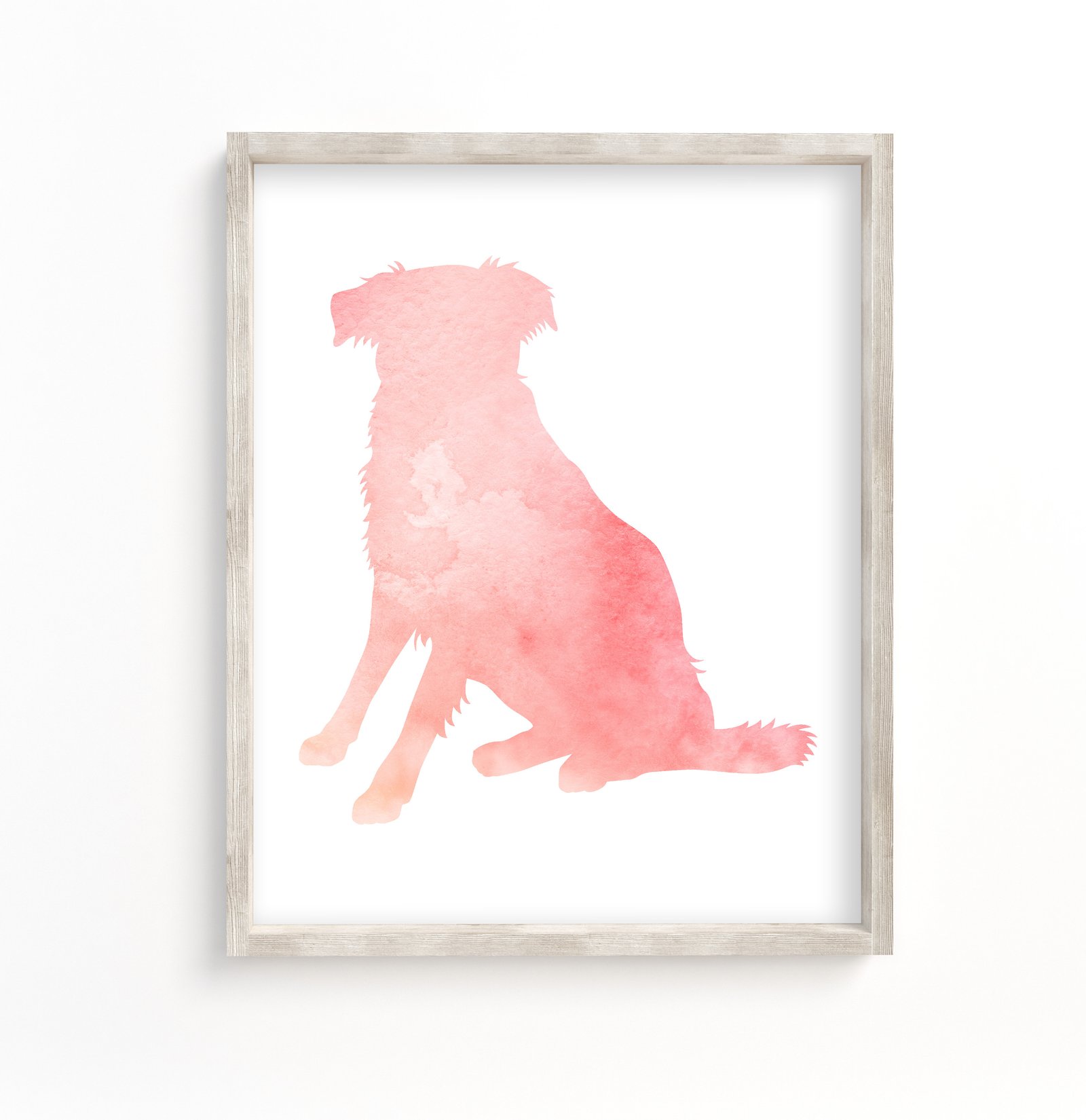 pink australian shepherd art print