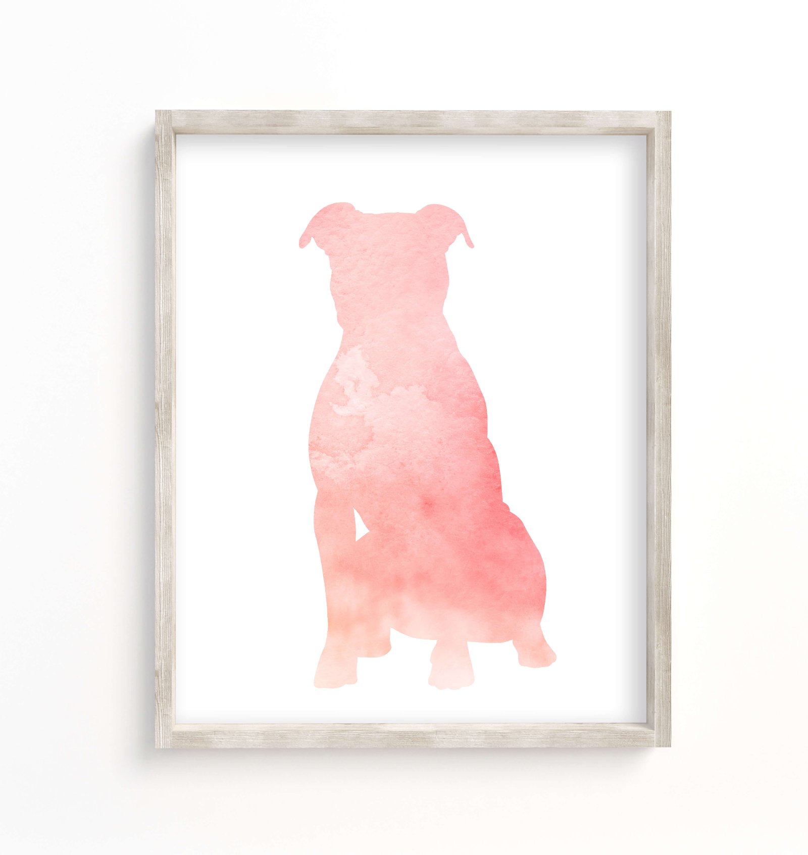 photo shows a pink staffordshire terrier art print
