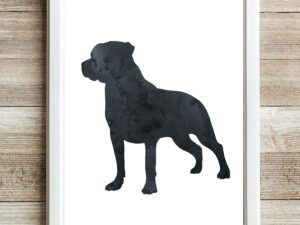 Rottweiler Watercolor Wall Art Print Black