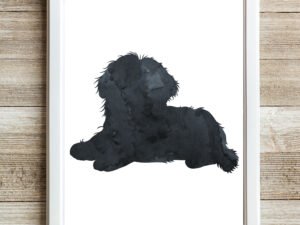 Black Gray Shih Tzu Wall Art Print