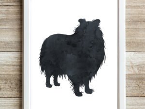 shetland sheepdog aka sheltie watercolor wall art print black